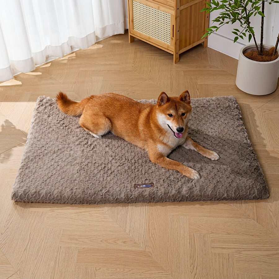 Brown Plush Fluffy Dog Mat