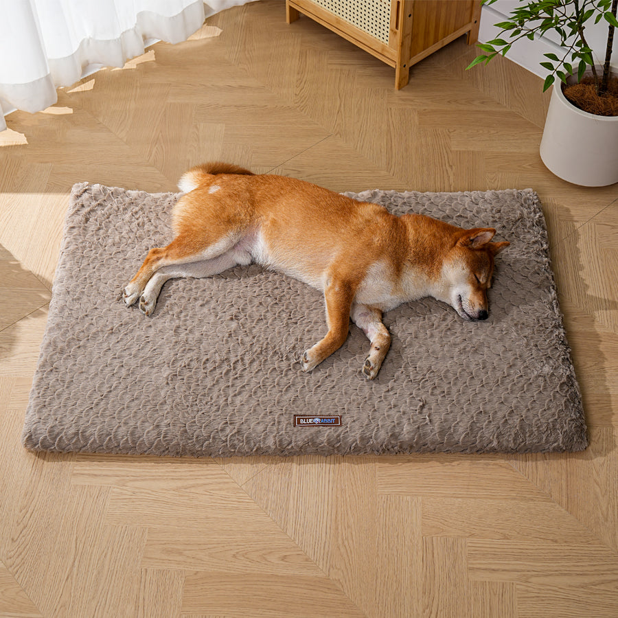 Brown Plush Fluffy Dog Mat