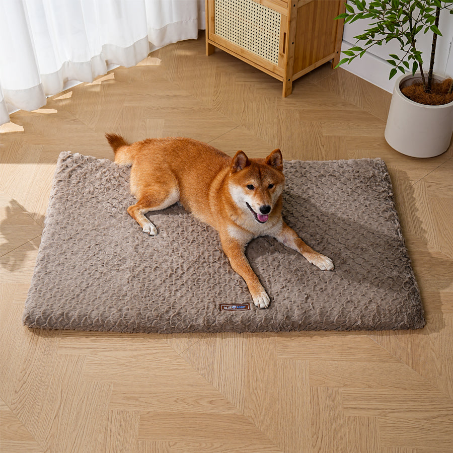 Brown Plush Fluffy Dog Mat