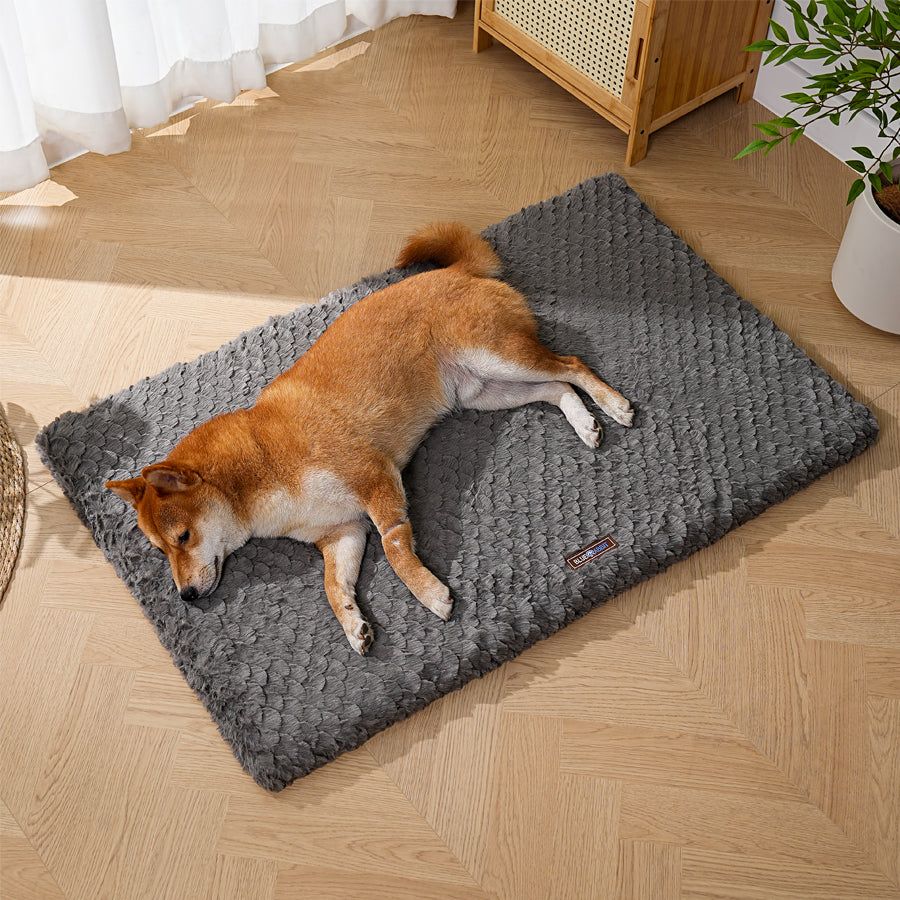 Plush Fluffy Charcoal Dog Mat