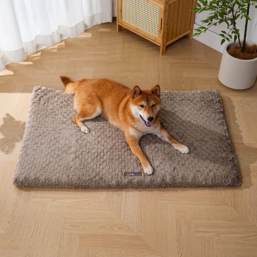 Brown Plush Fluffy Mat - Bluerabbit