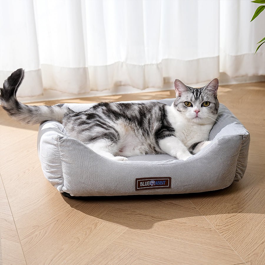 Neutral Gray Bed - Bluerabbit