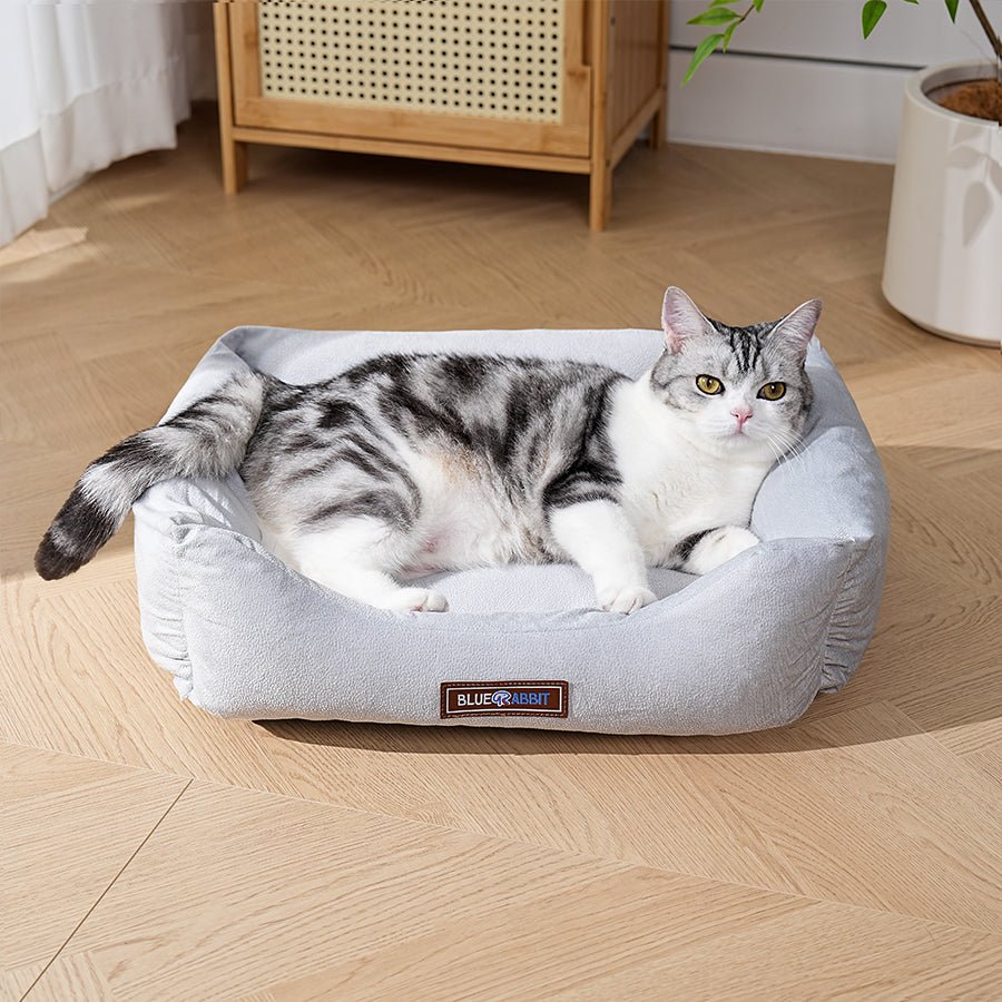 Neutral Gray Bed - Bluerabbit